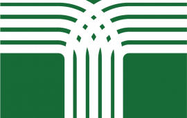 City of Toccoa Logo