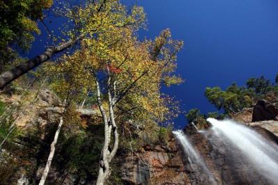 Toccoa Falls